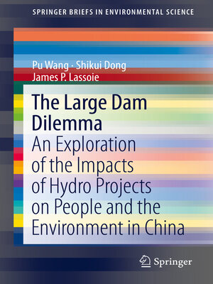 cover image of The Large Dam Dilemma